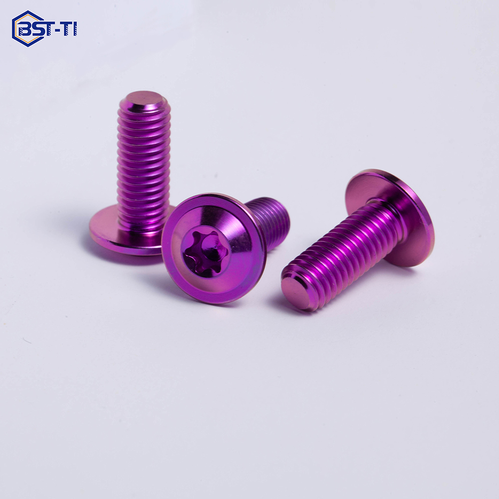 BST-TI Torx Head Titanium Alloy Disc Bolts ISO Standard Class 4.8/6.8 UNC Thread Motorcycle Screws and Bolts with Plain Finish