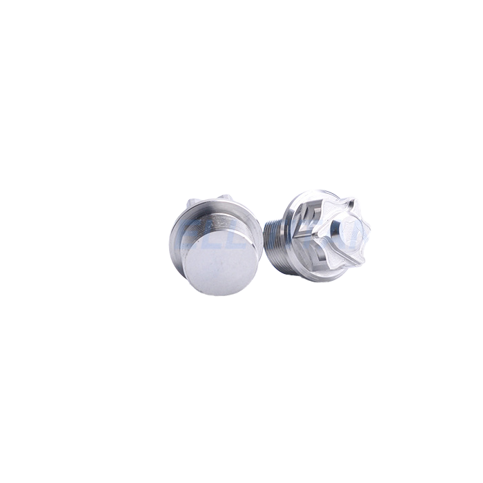[Manufacturer Supply] Grade 10.9 M24/M22 Titanium Alloy Motorcycle Oil Cap Screw Finish None for SONIC150/Raider 150 Made China