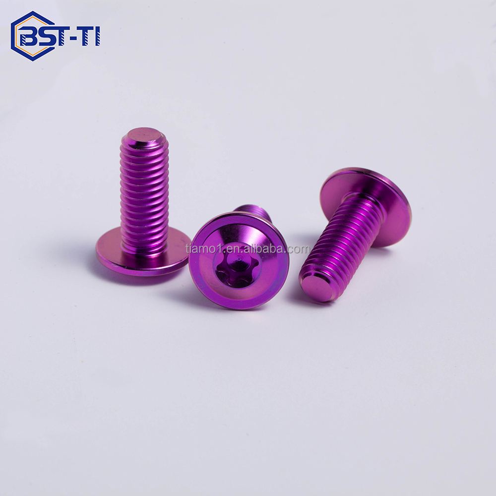 Titanium bolt detail 2