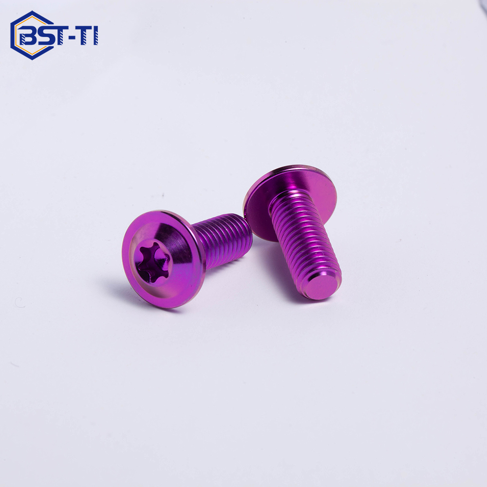 BST-TI Torx Head Titanium Alloy Disc Bolts ISO Standard Class 4.8/6.8 UNC Thread Motorcycle Screws and Bolts with Plain Finish