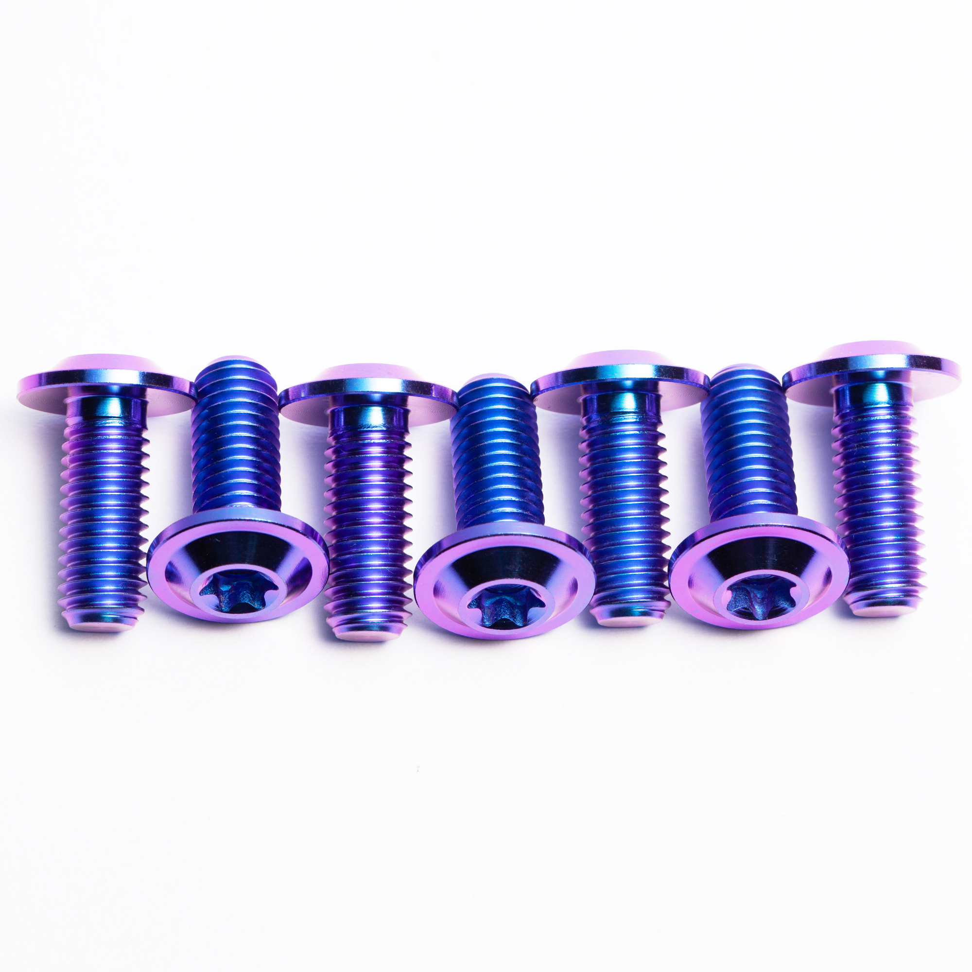 Titanium Disc Head Torx Bolt Details