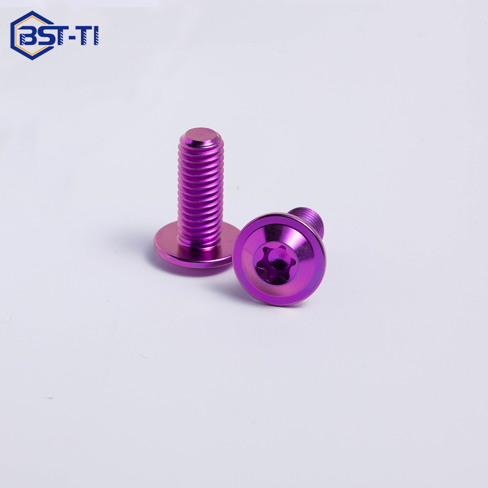 Titanium bolt product angle 1